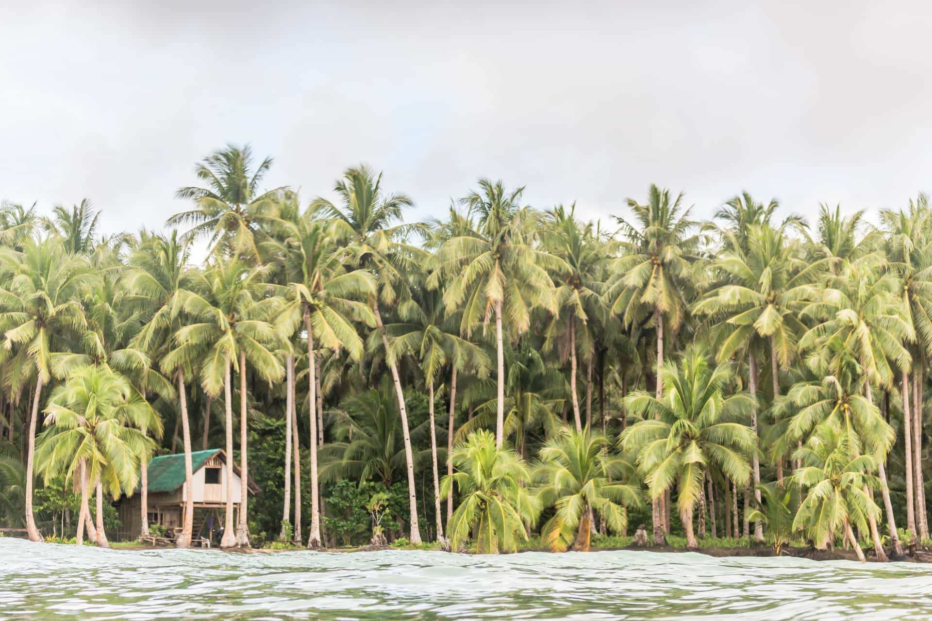 Paradise-guian-union-coconut-siargao-island