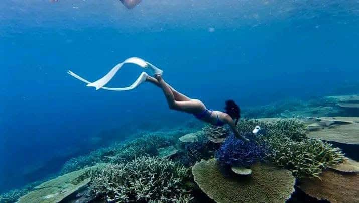 Freediving