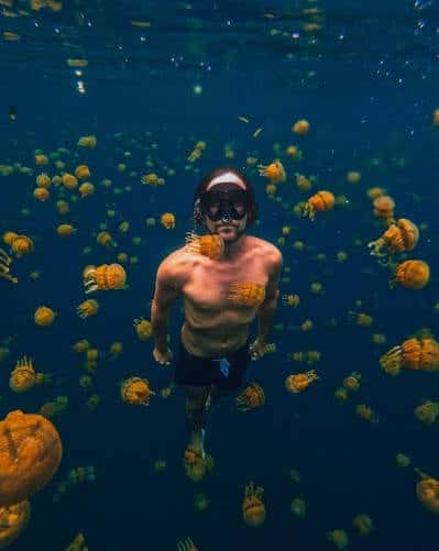 Snorkel Spot