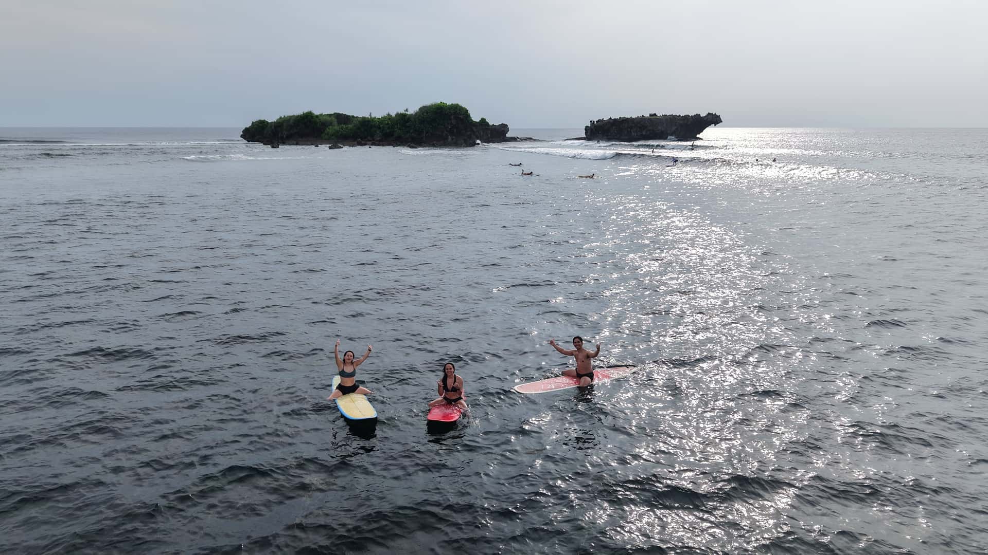 Surfing Lessons