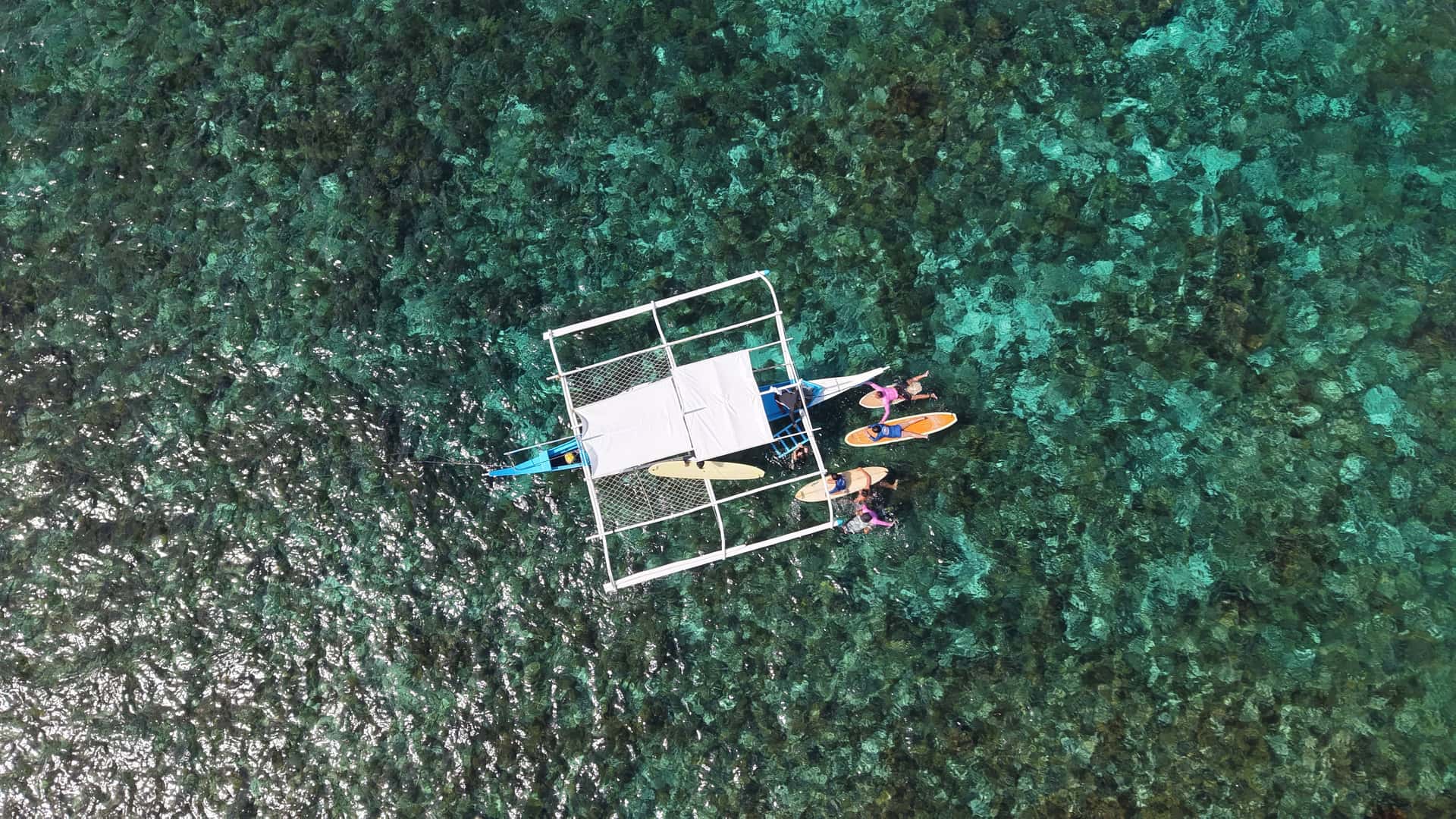 Surfing Lessons