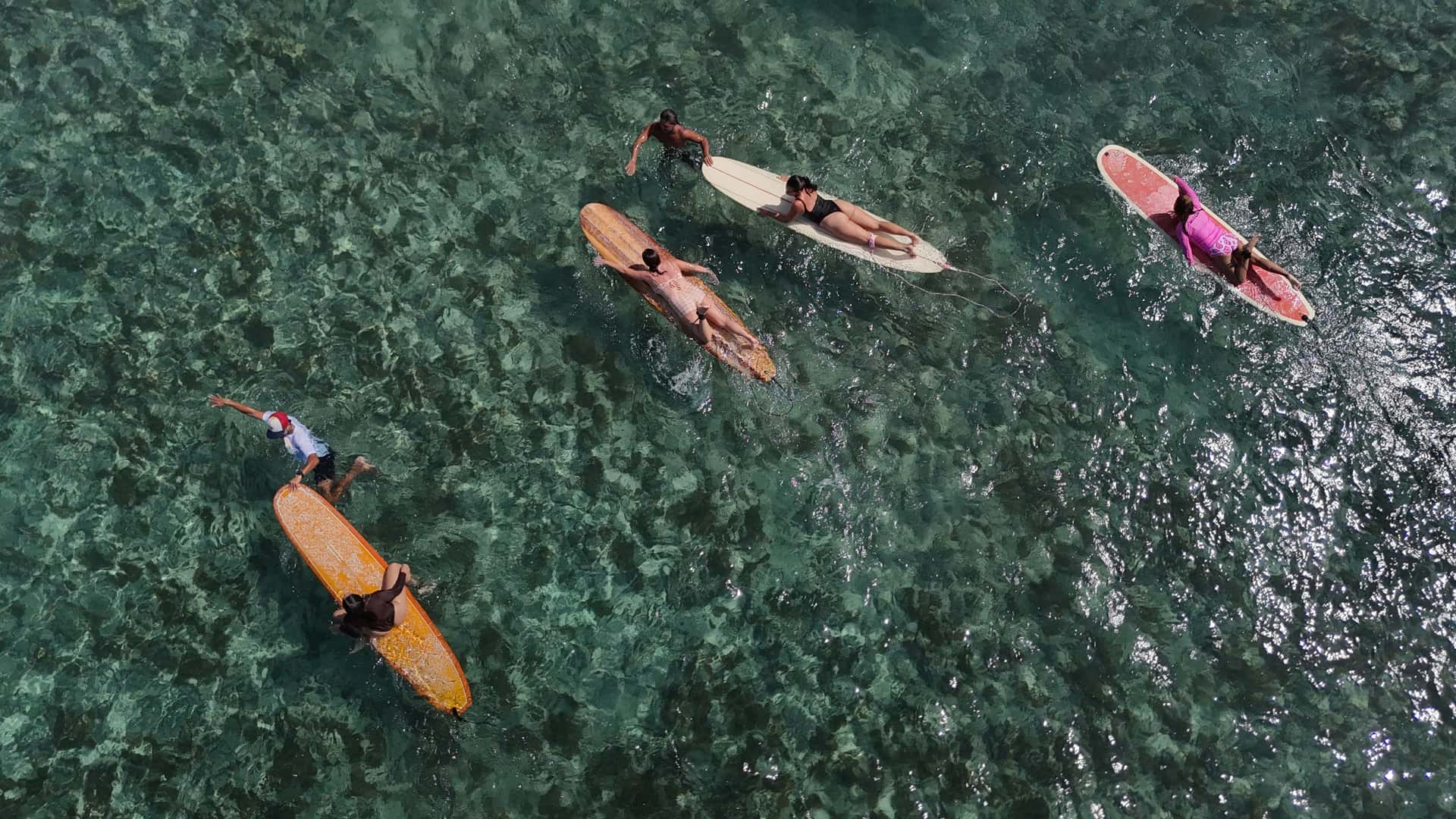 Surfing Lessons