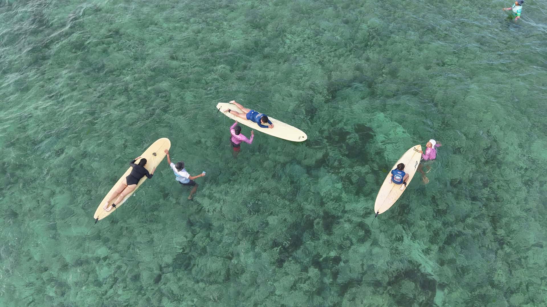 Surfing Lessons