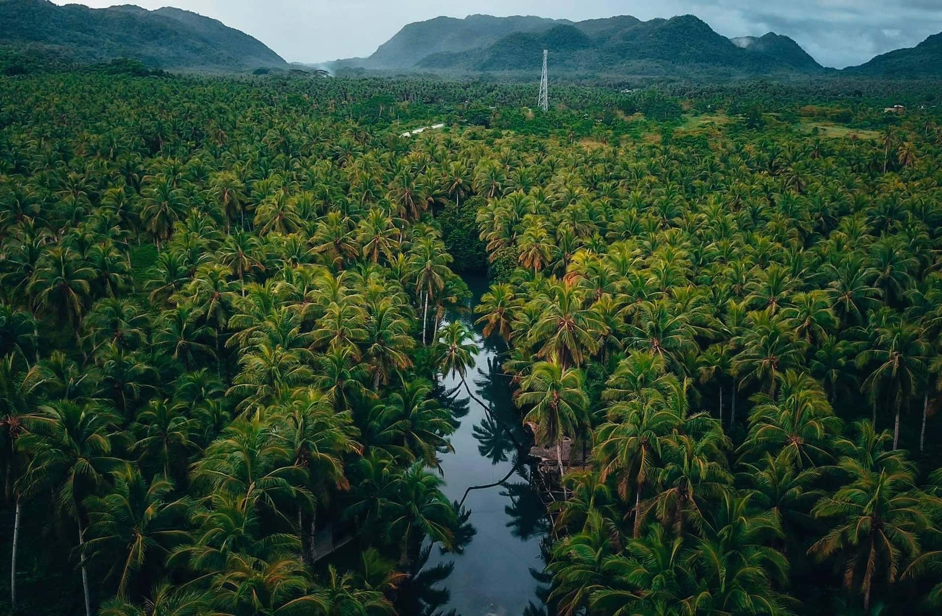 Kayak Tour