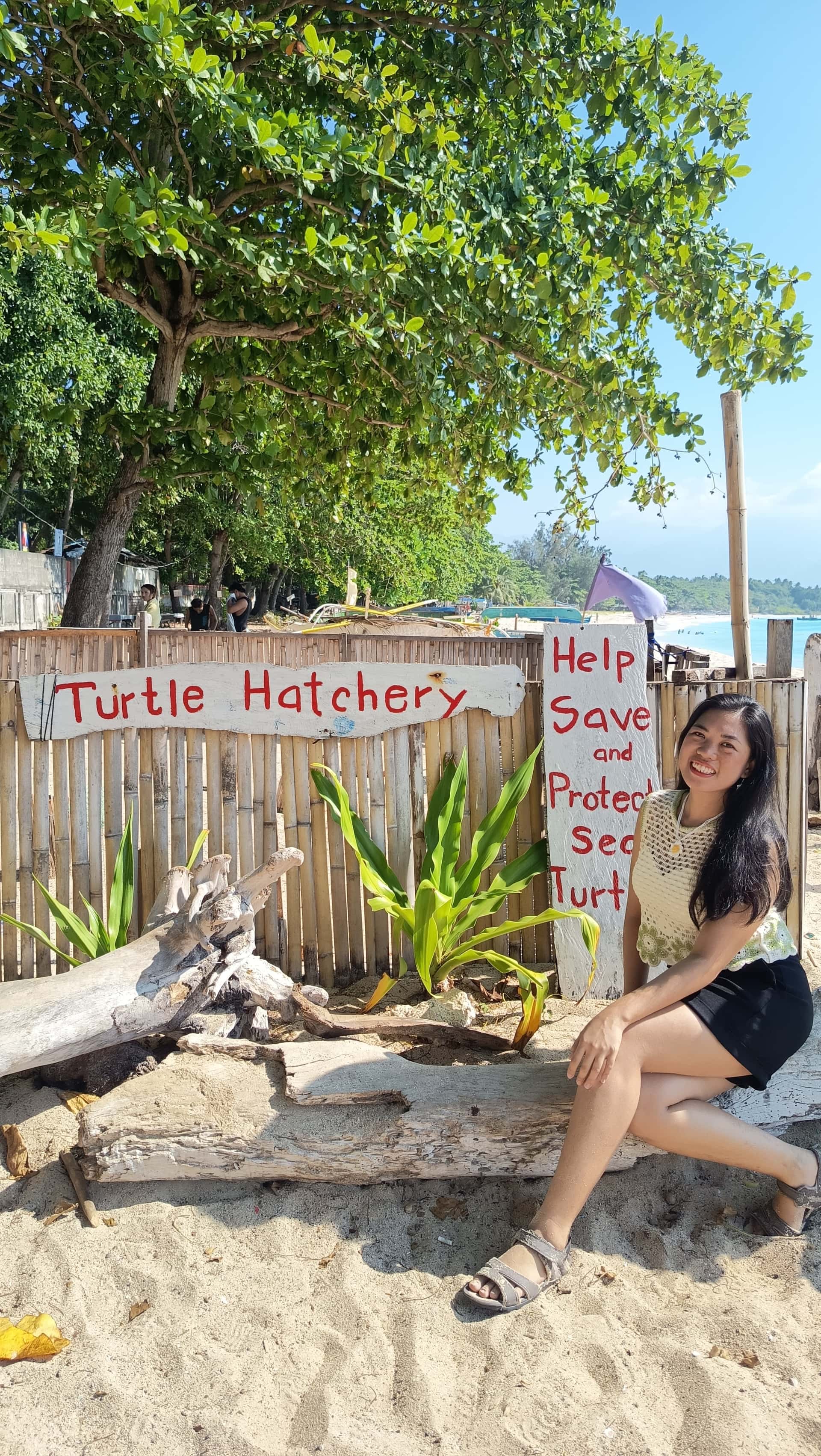 Sea turtle hatchery, Dahican