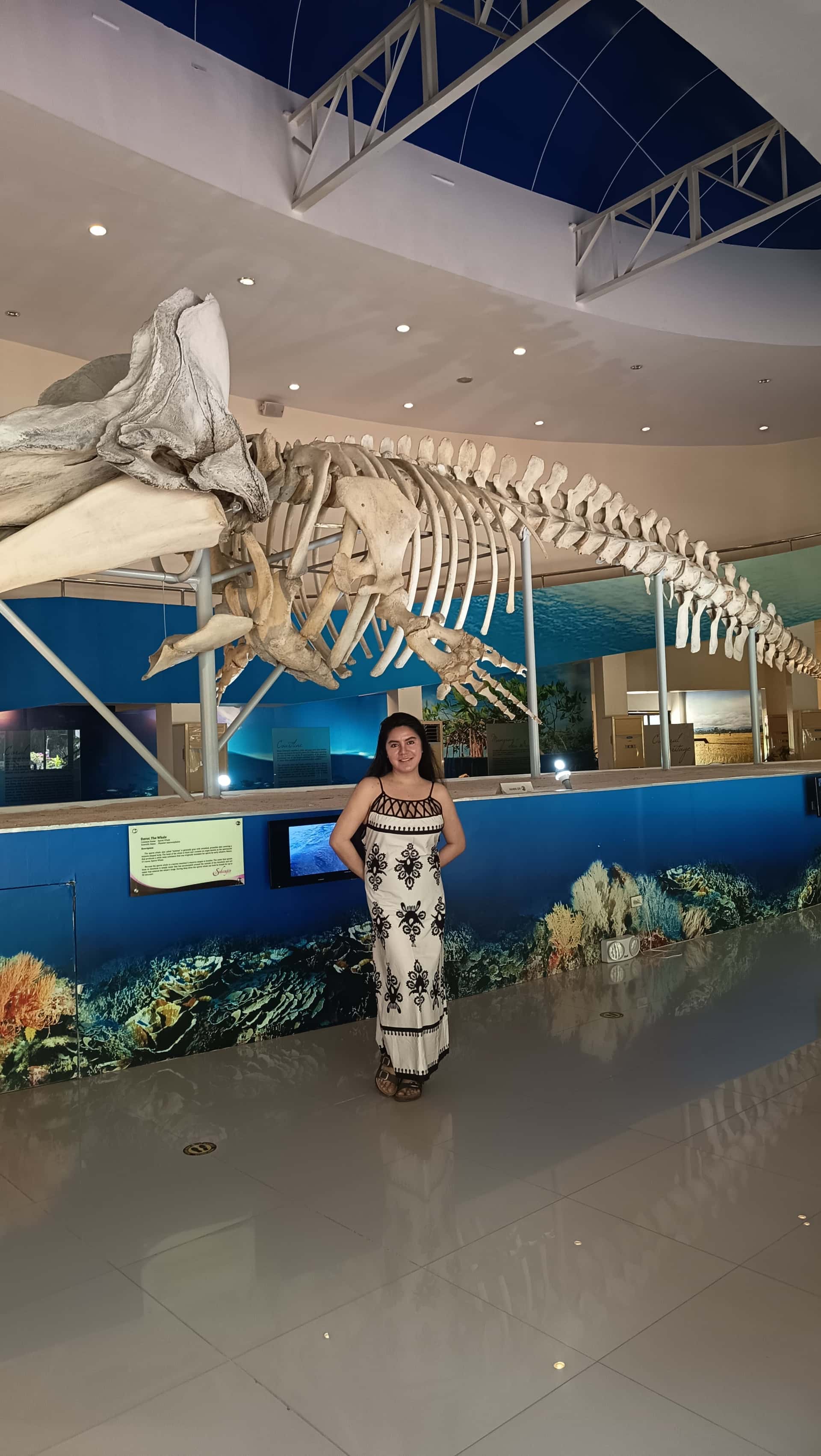 Sperm whale skeleton, Subangan Museum