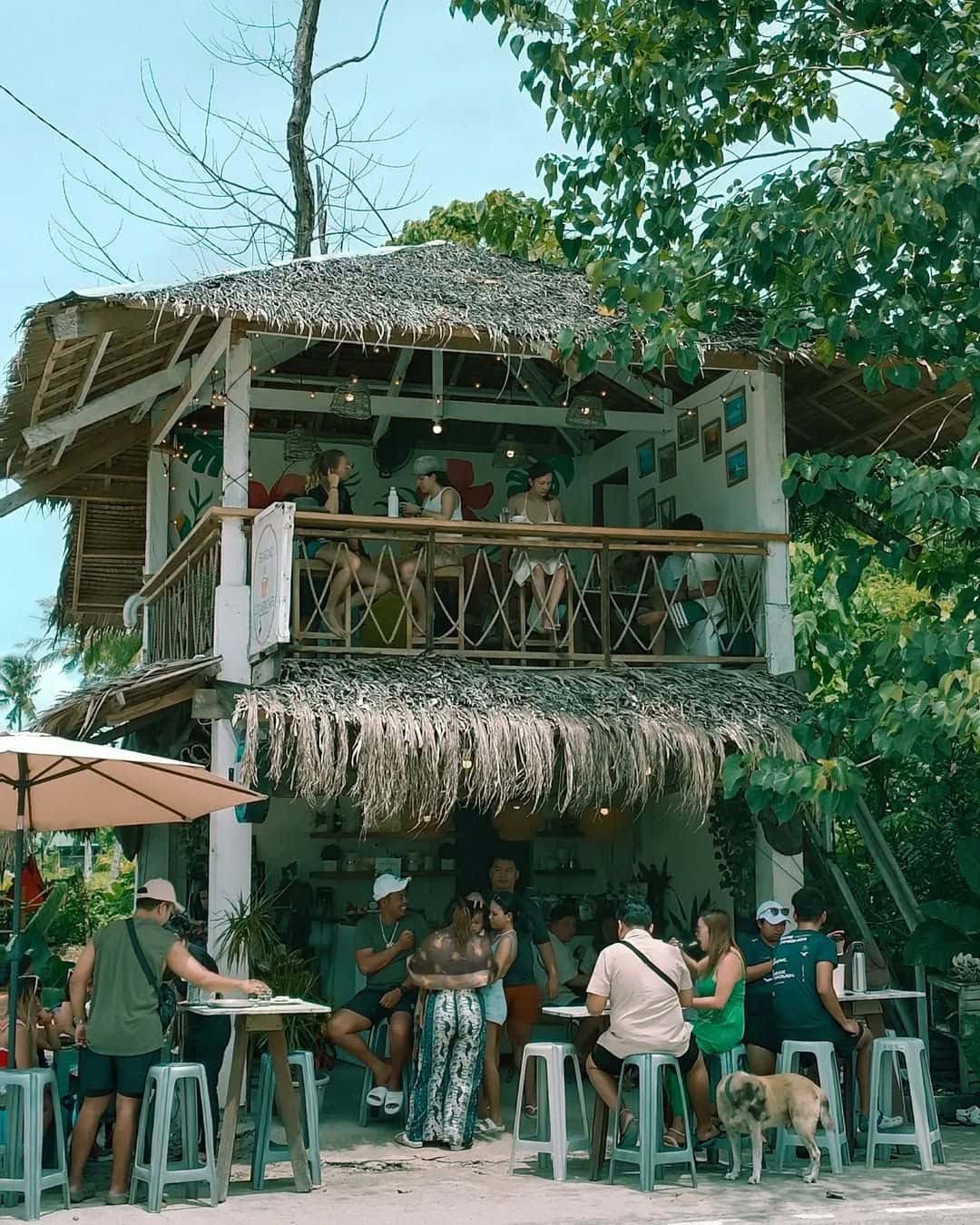 Cafe building hung with dried grasses