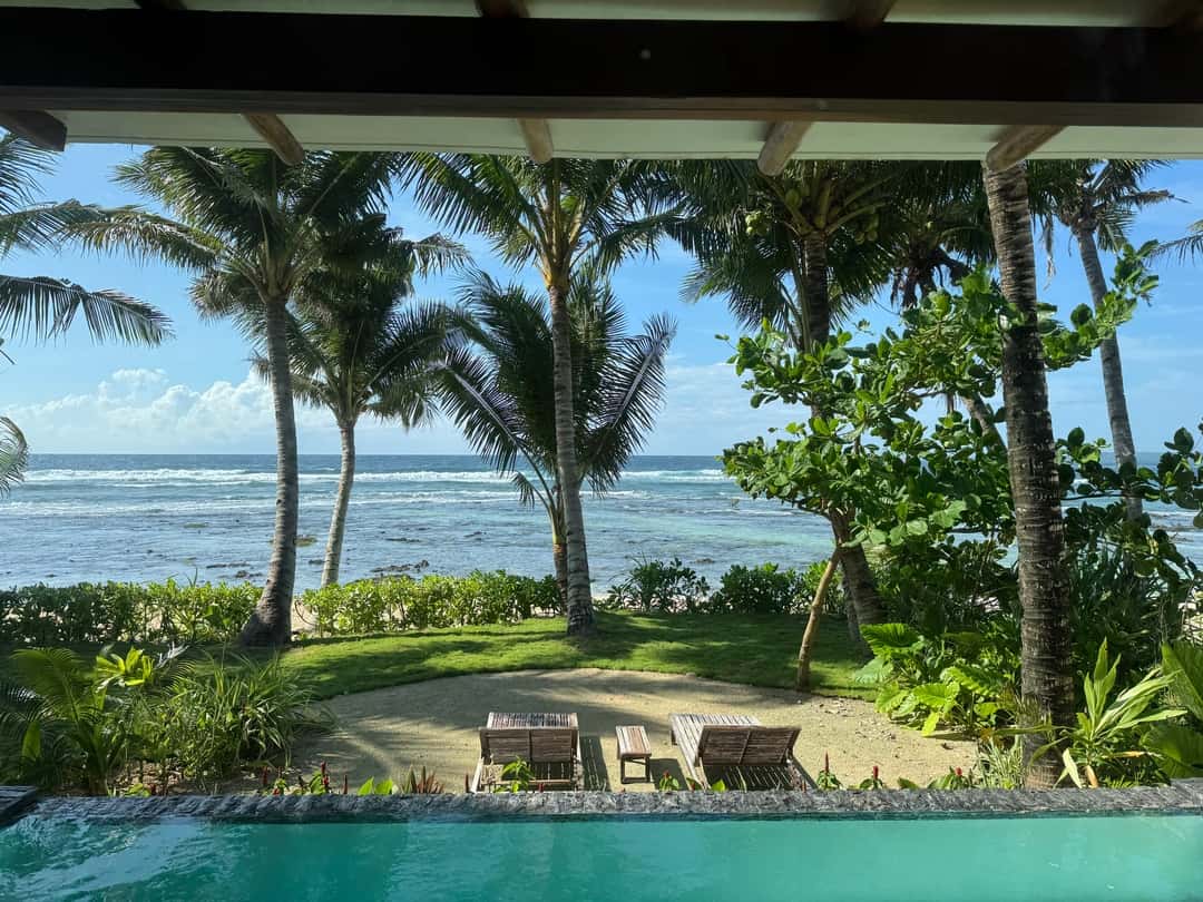 Lawn and palms framing a view of the sea