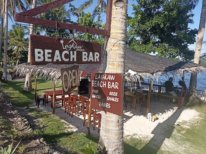 Wooden Beach Bar sign nailed to a palm trunk