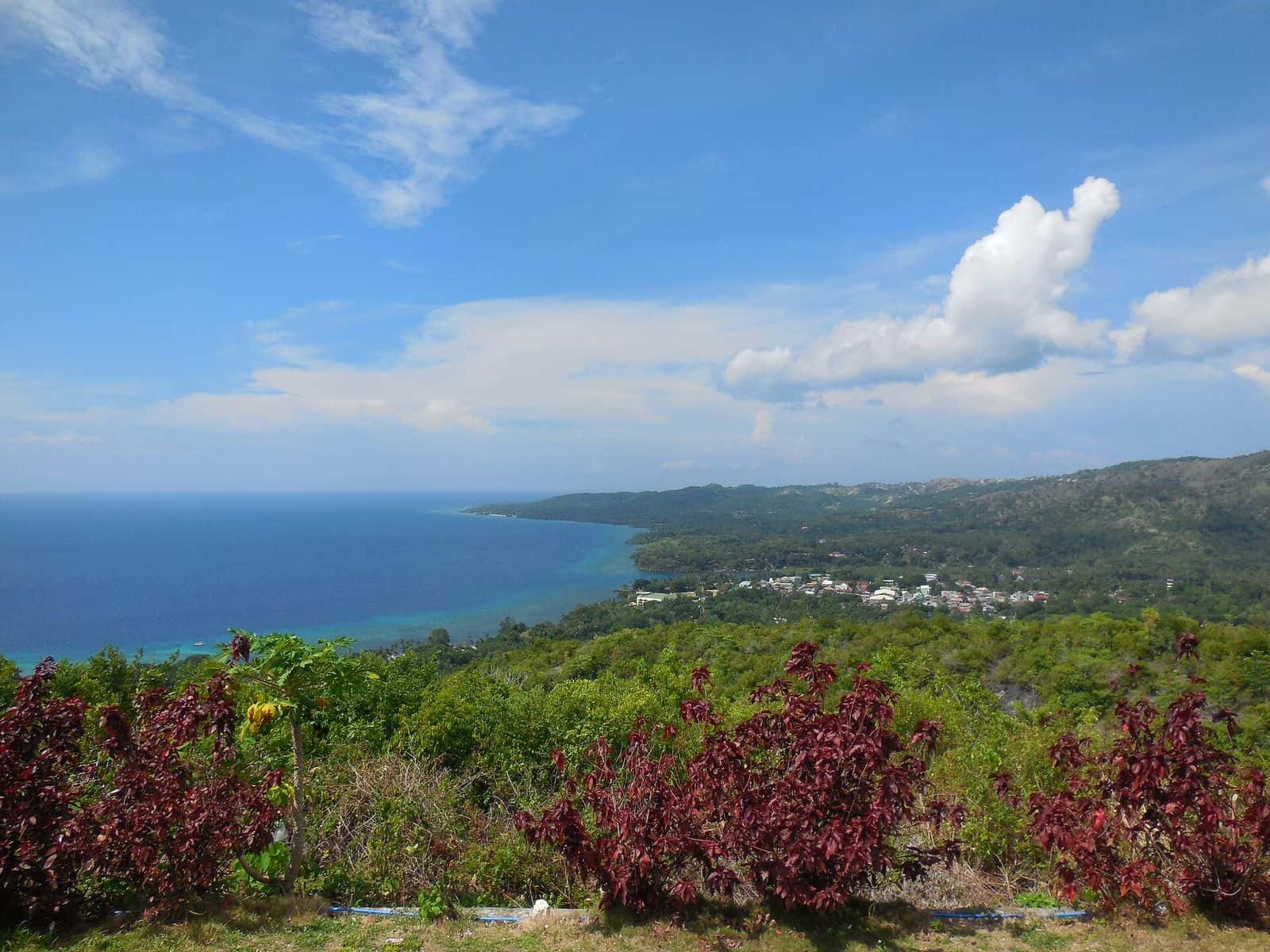 Larena Bay and town from the hill above, Siquijor