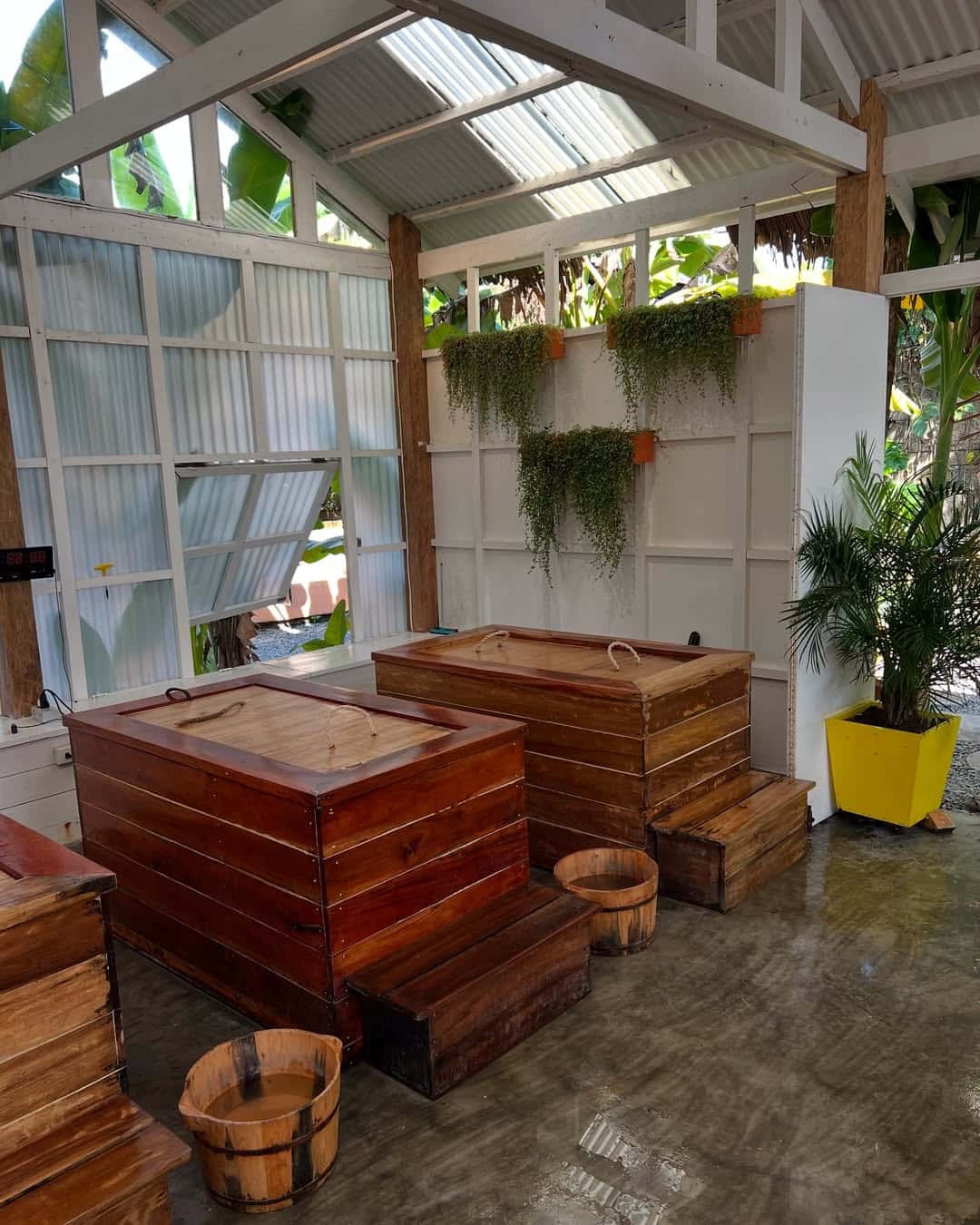 Wooden ice bath tubs on the plant-filled terrace