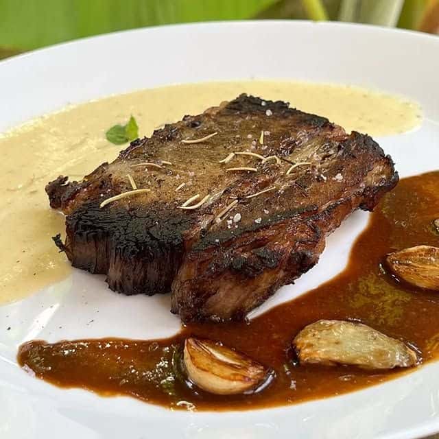 Grilled steak in pale sauce on a white plate