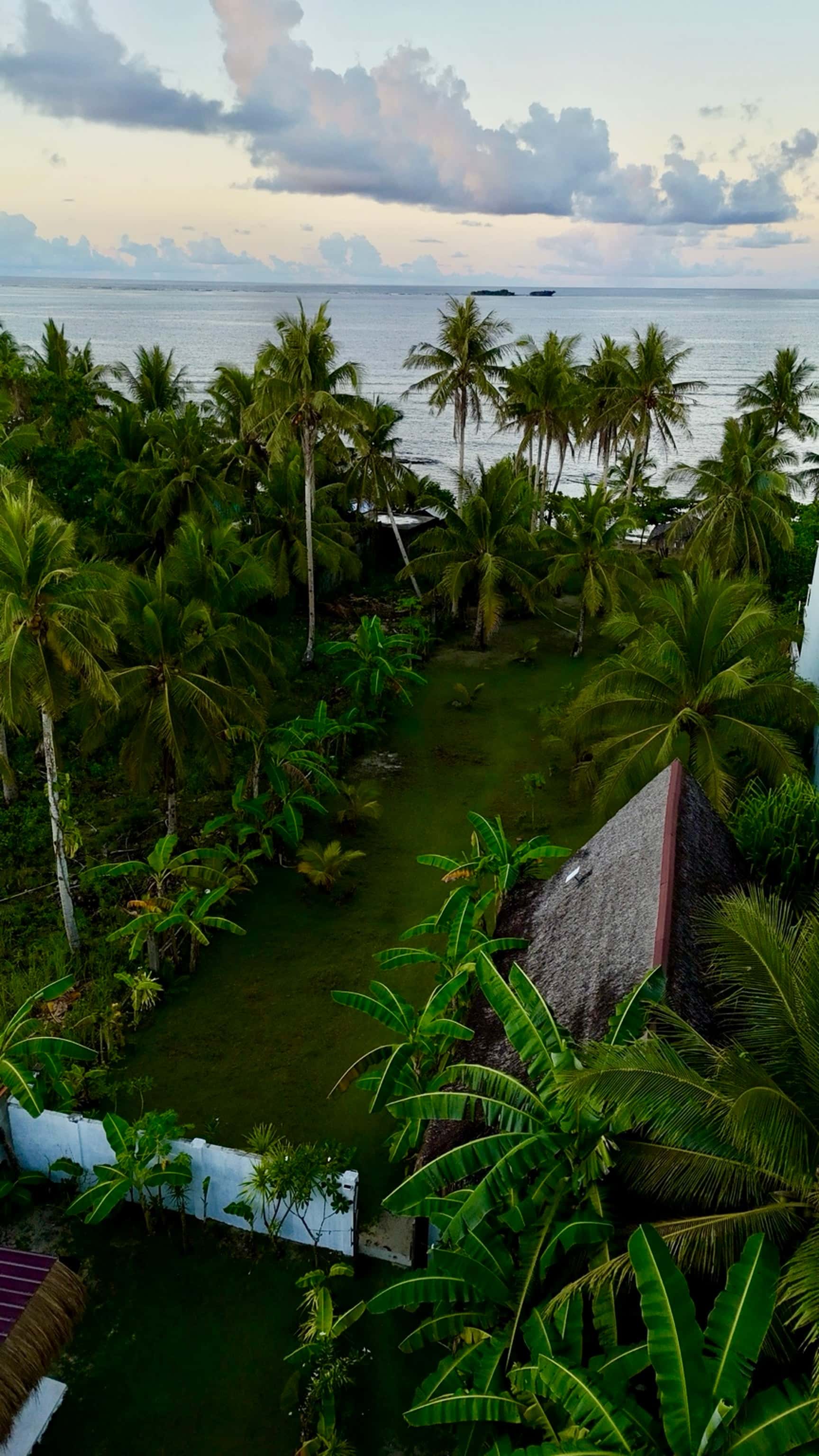 Drone View