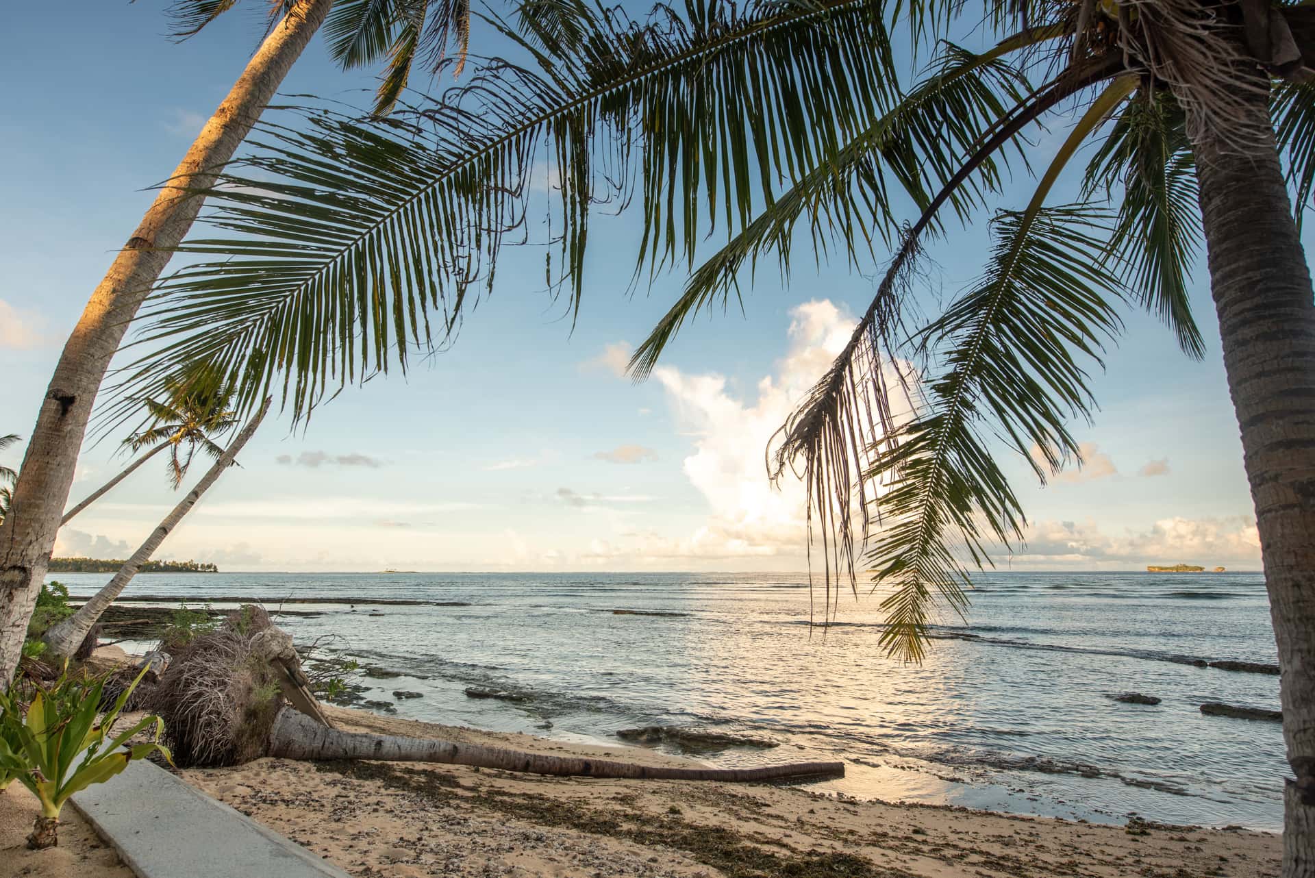 Beachfront