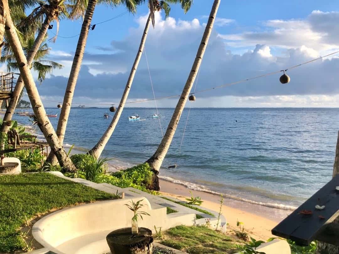 Hammock strung between palms looking out to the sea