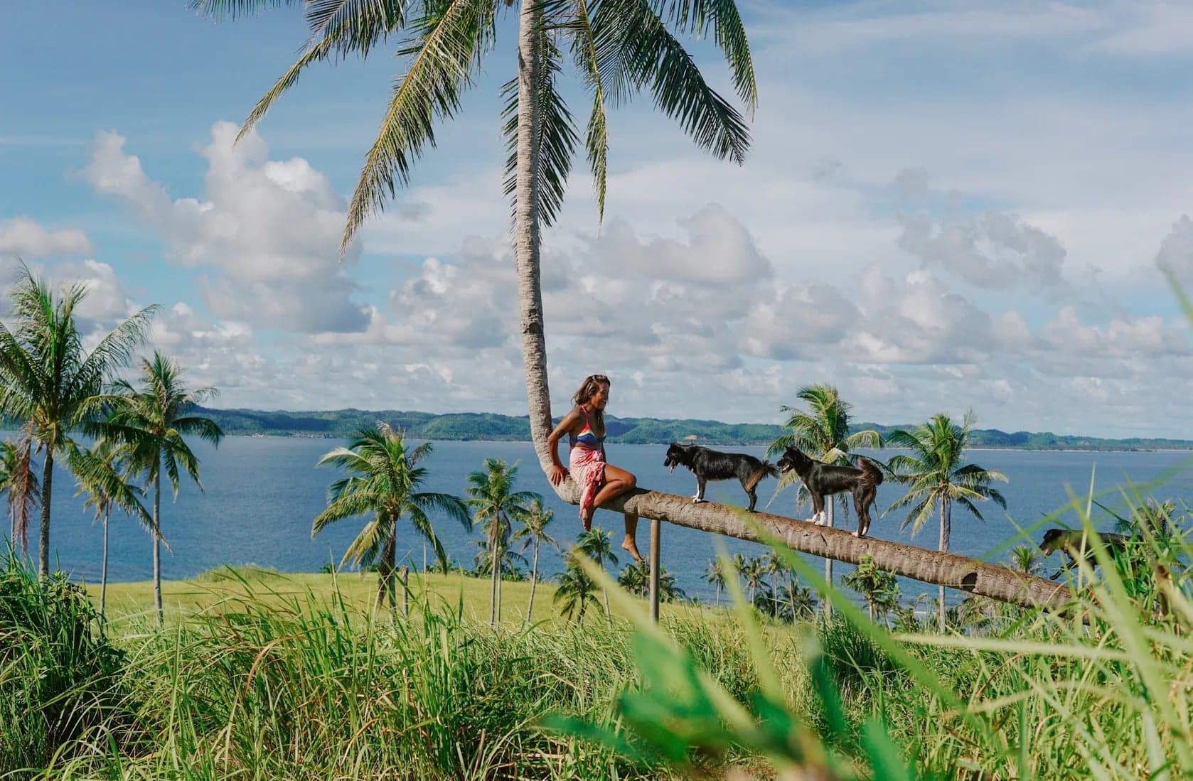 Corregidor Island & Fun Hike Tour — Joiner activity in General Luna Tourism Office