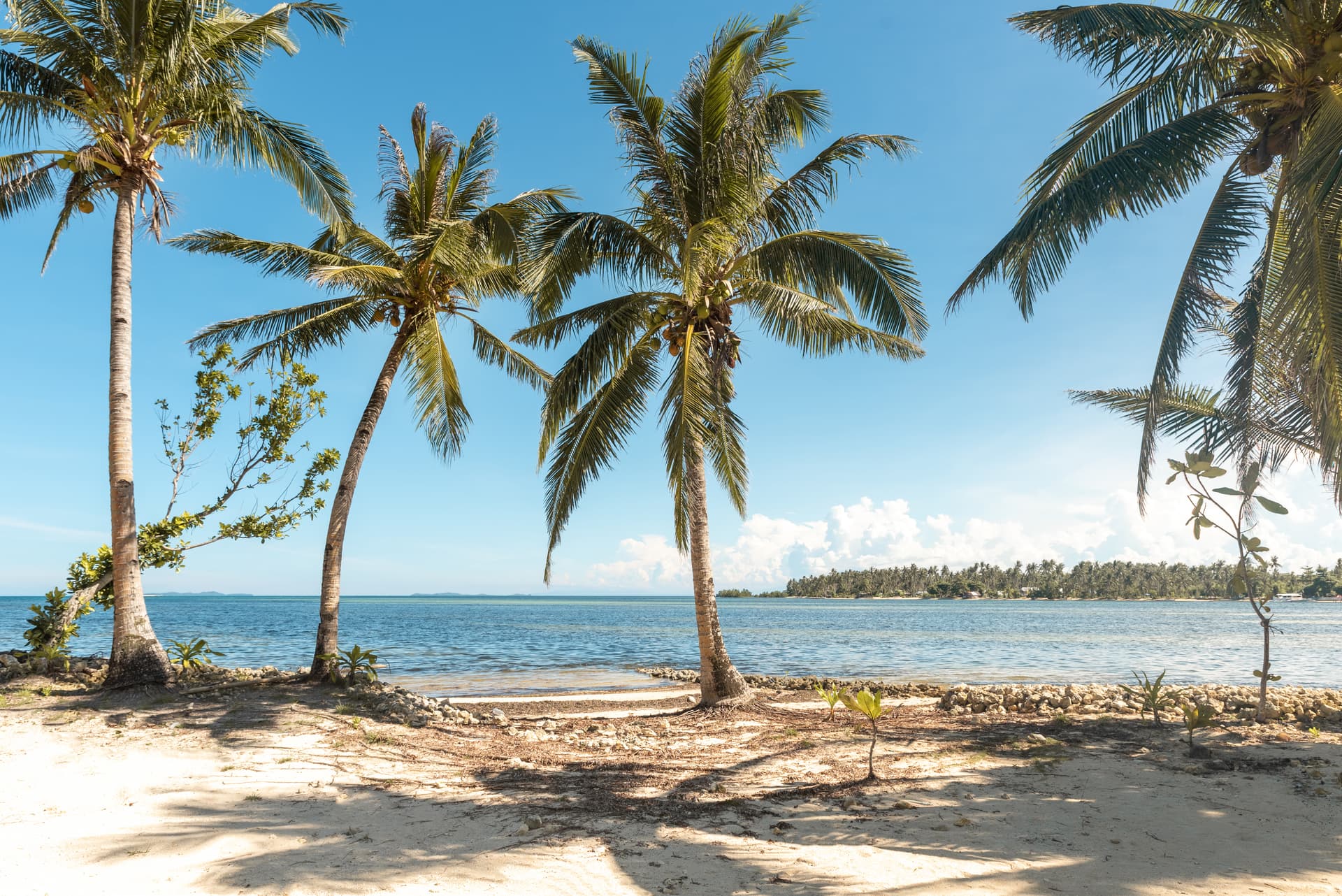 Malinao Travel Guide – Quiet Beaches & Boutique Beachfront Stays