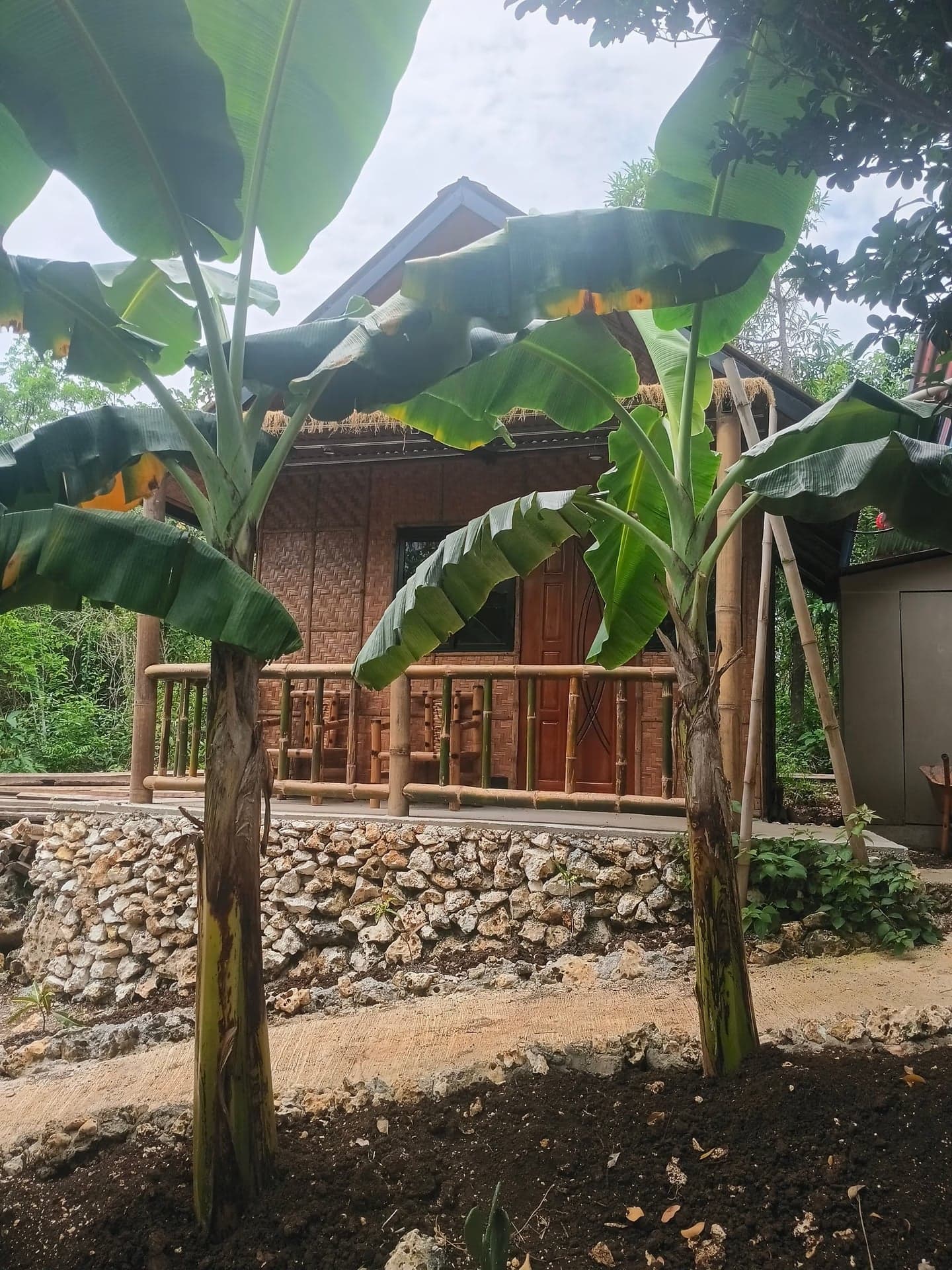 Black Magic Bungalows — Bungalow in Maite, San Juan, Siquijor