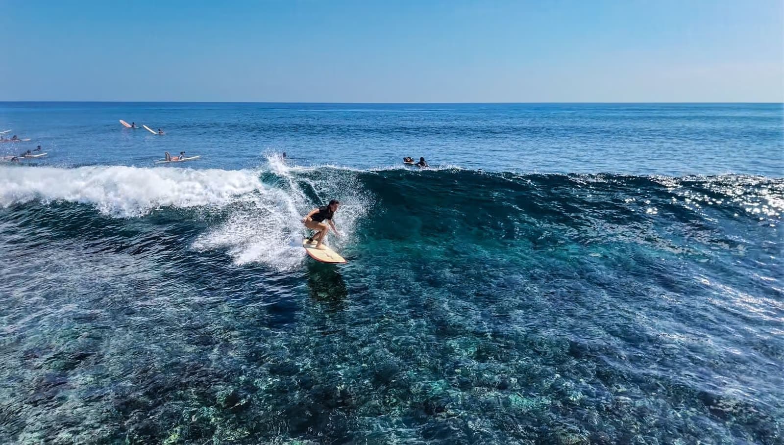 Surf