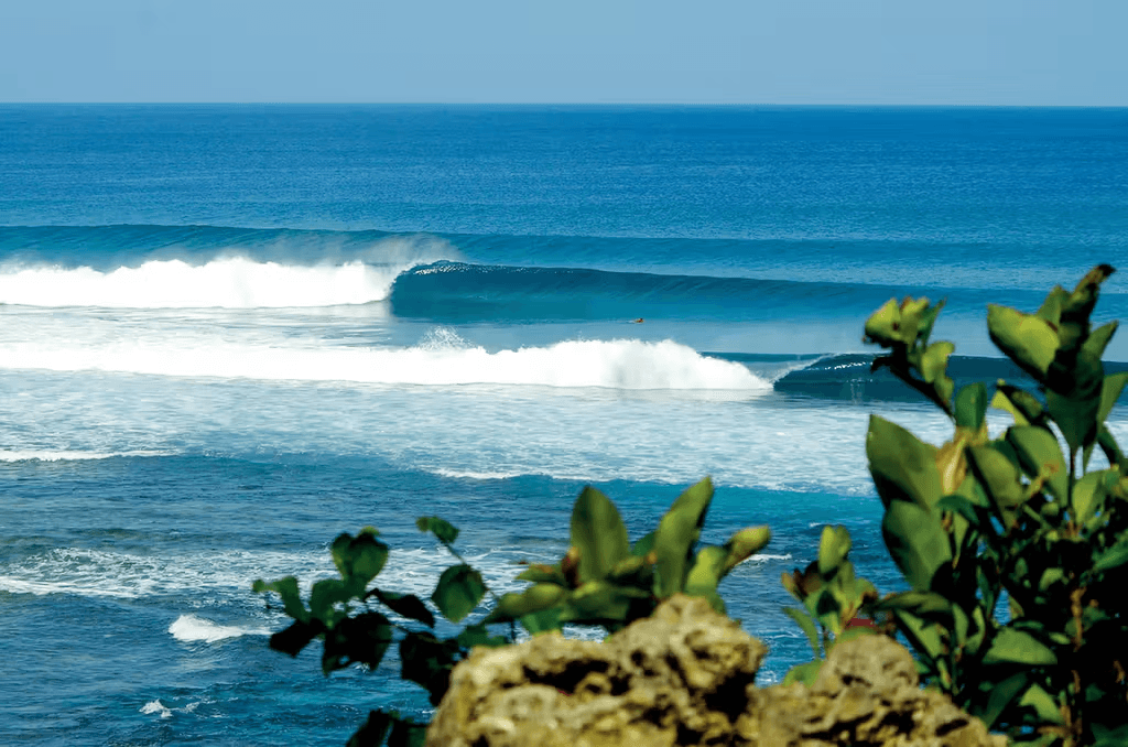 Pacifico