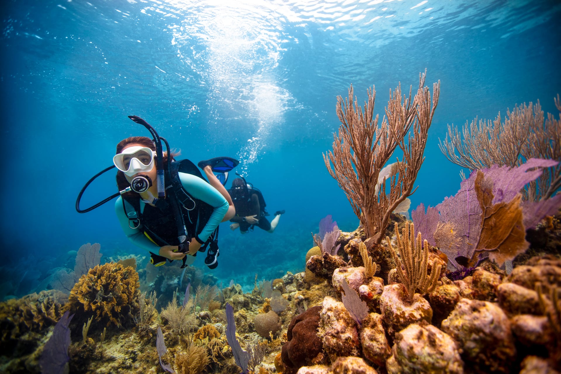Scuba Diving
