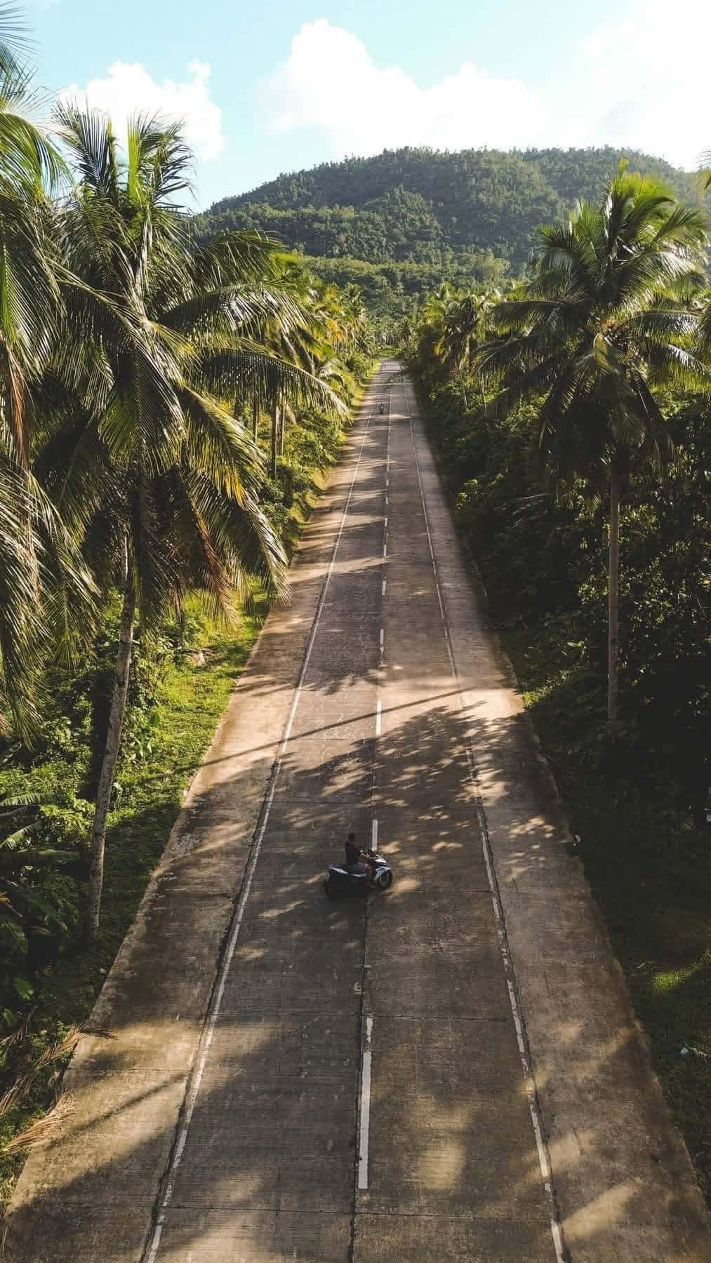 Drone View