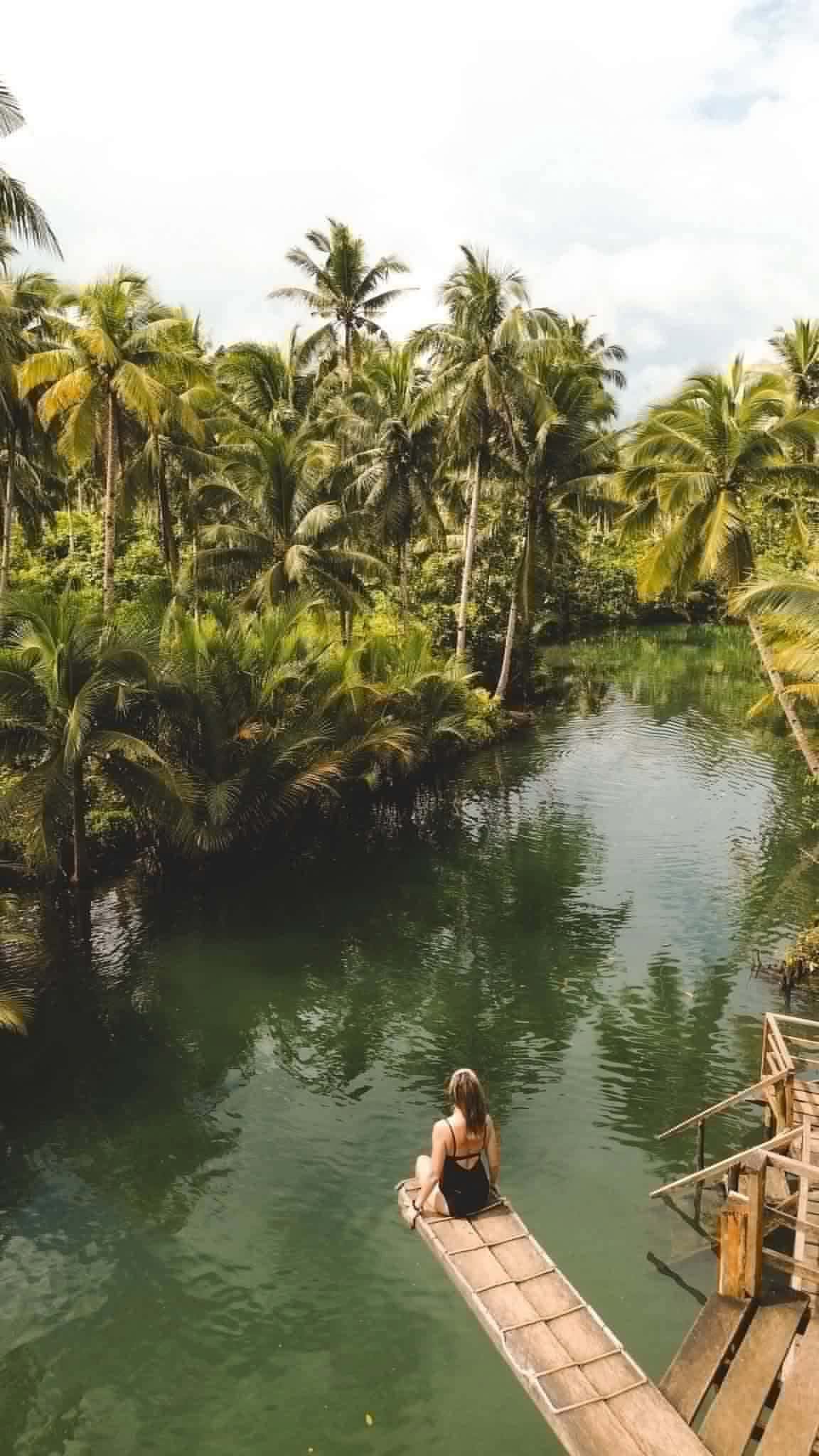 Drone View