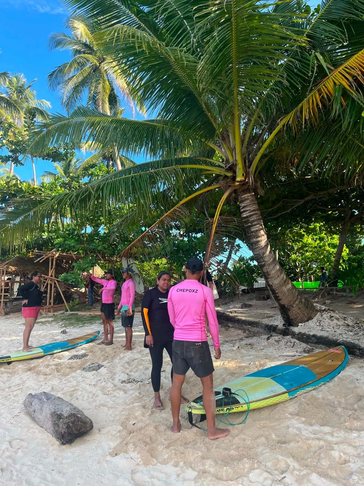 Surfing Lessons