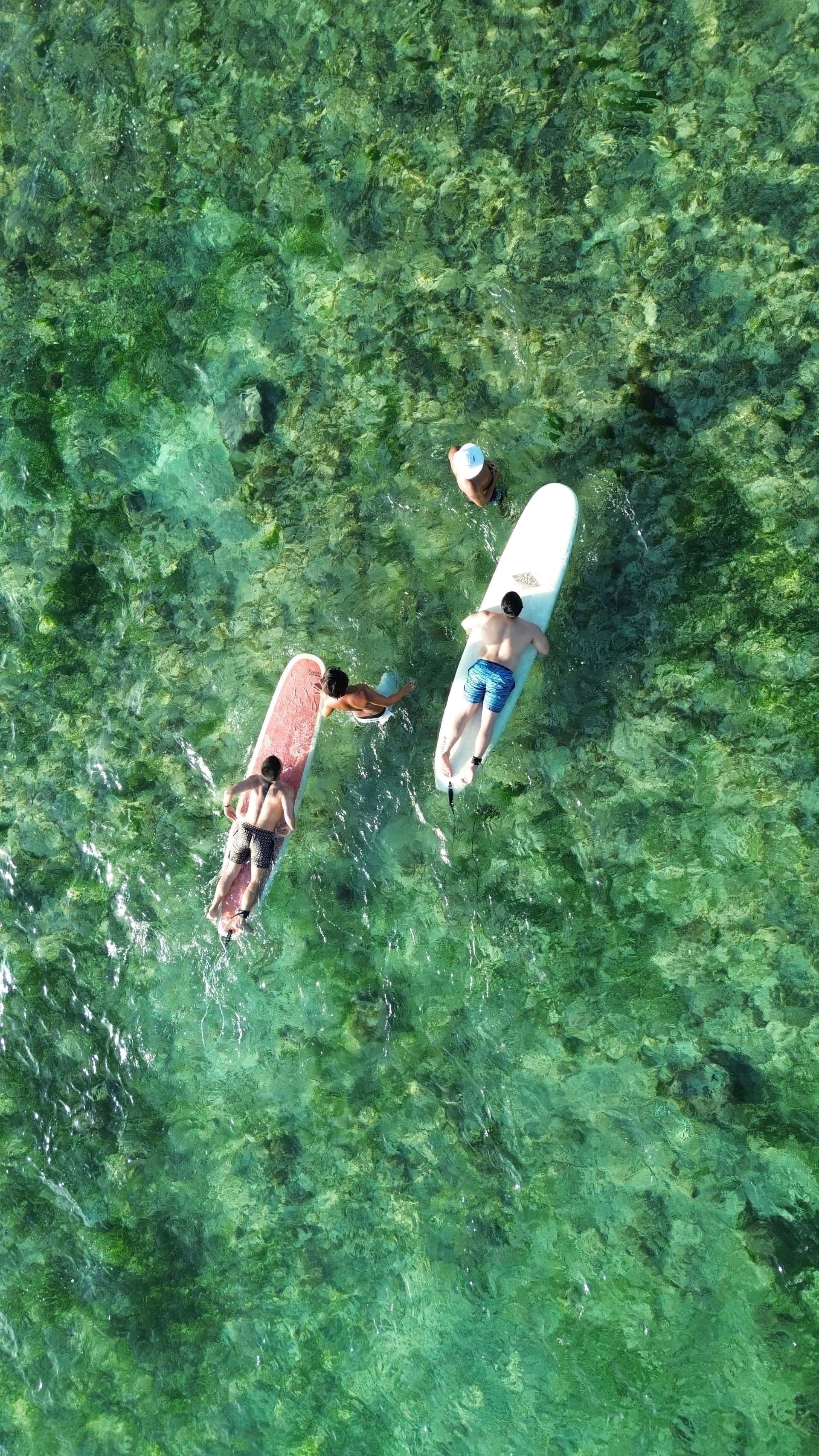 Surfing Lessons