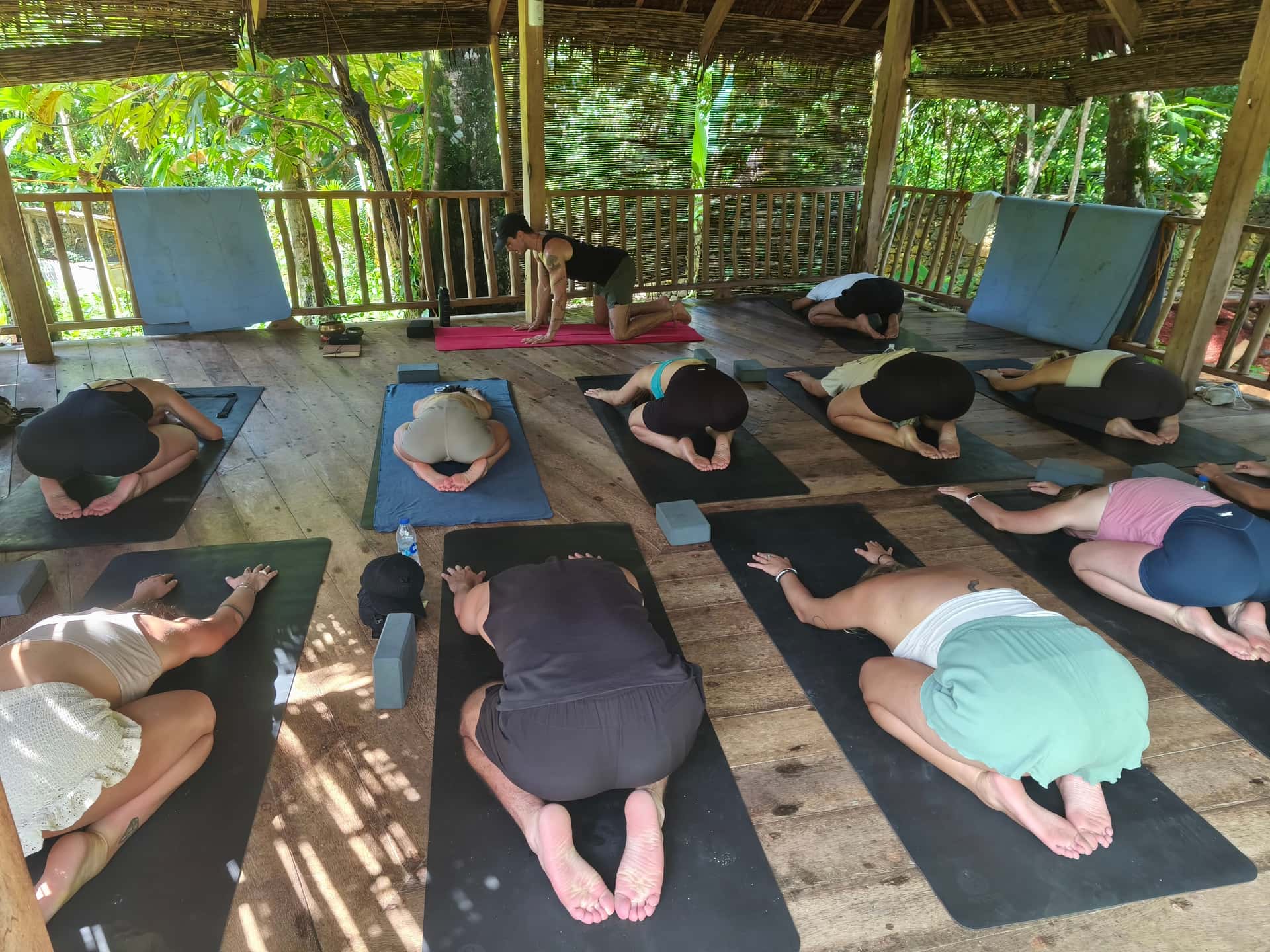 Wellness Experiences