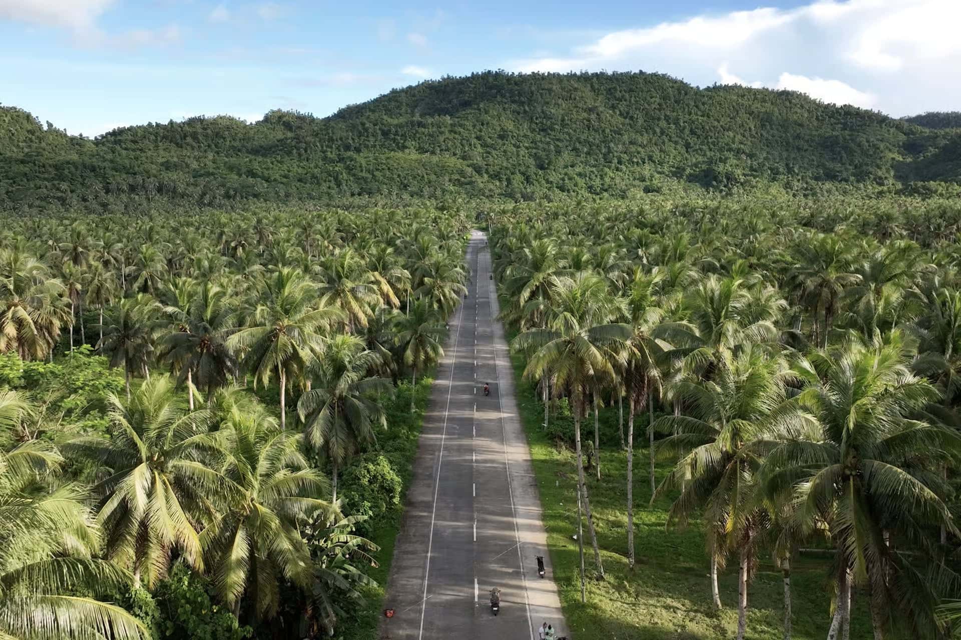 Drone View