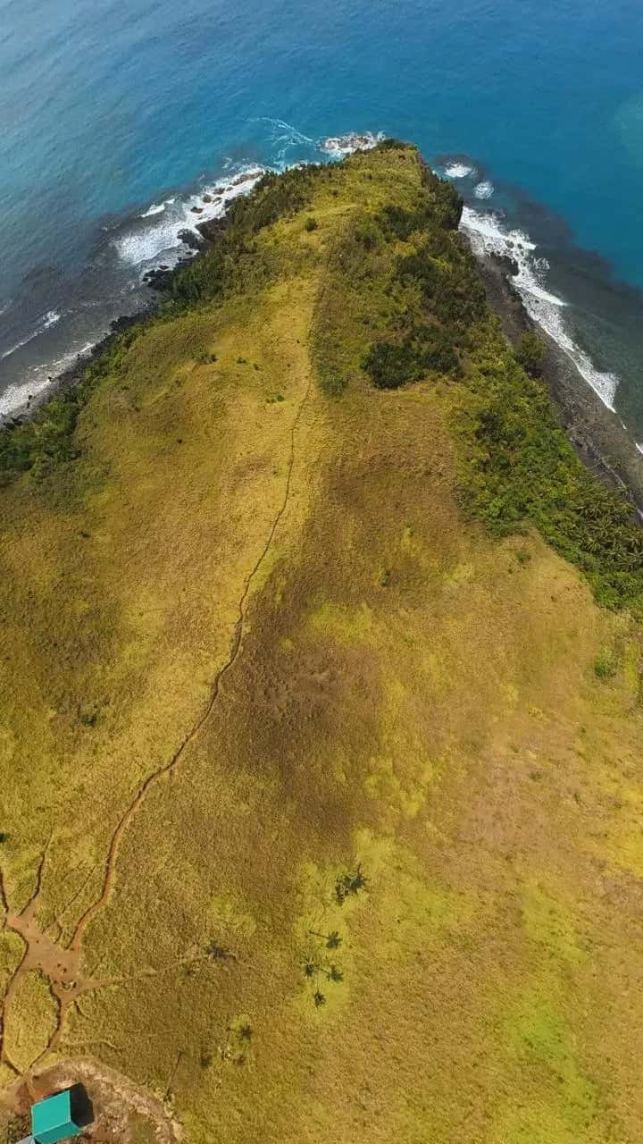 Drone View
