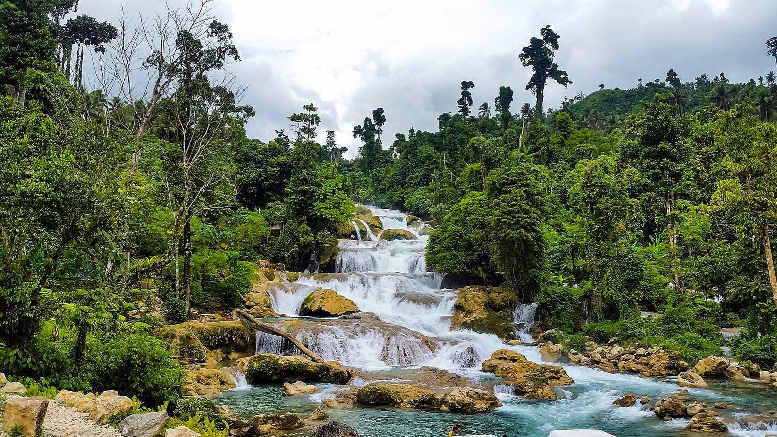 Aliwagwag Falls flowing through forest in Cateel, Davao Oriental