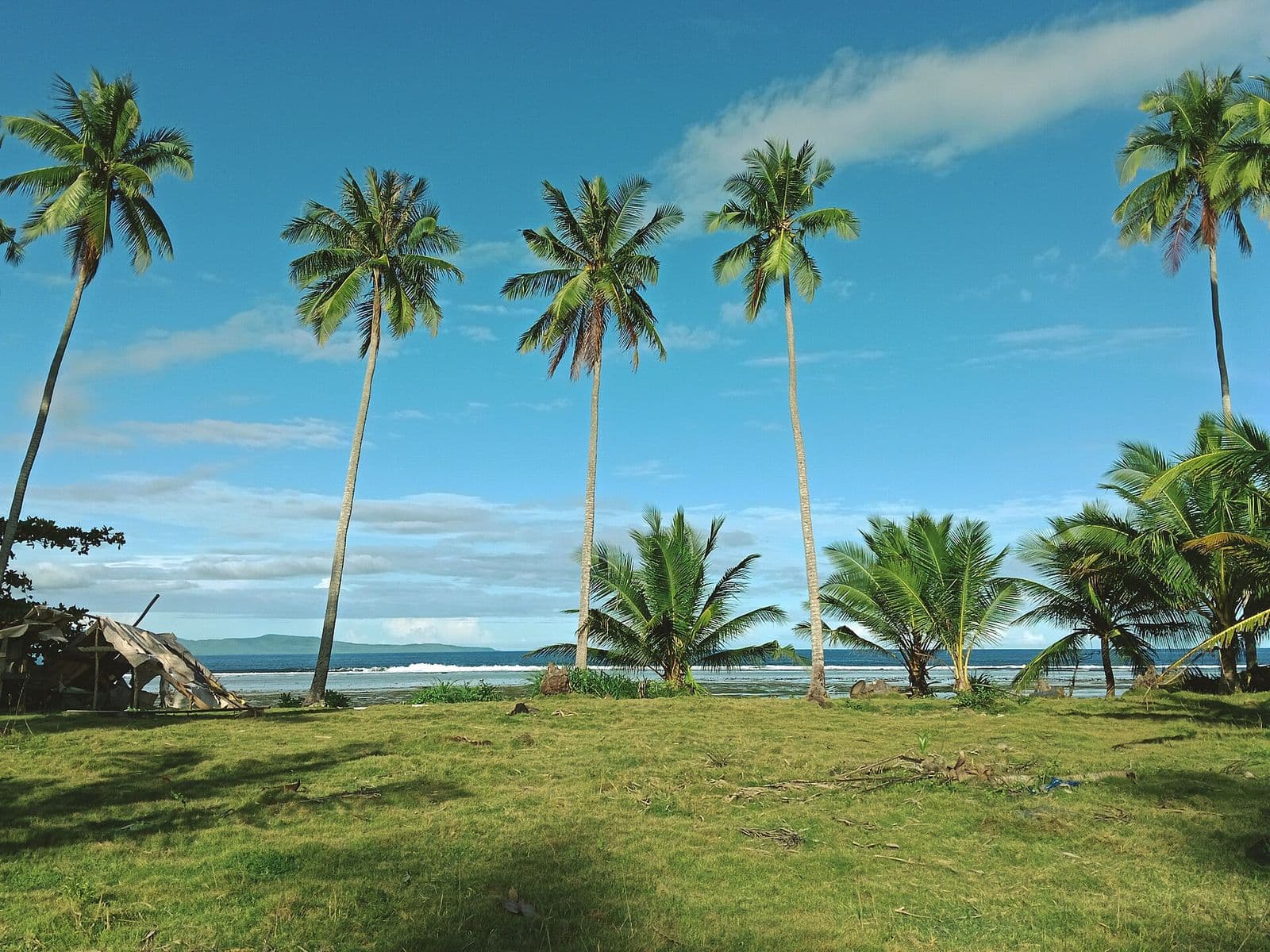 Palm-lined beach in Bobon, Mati