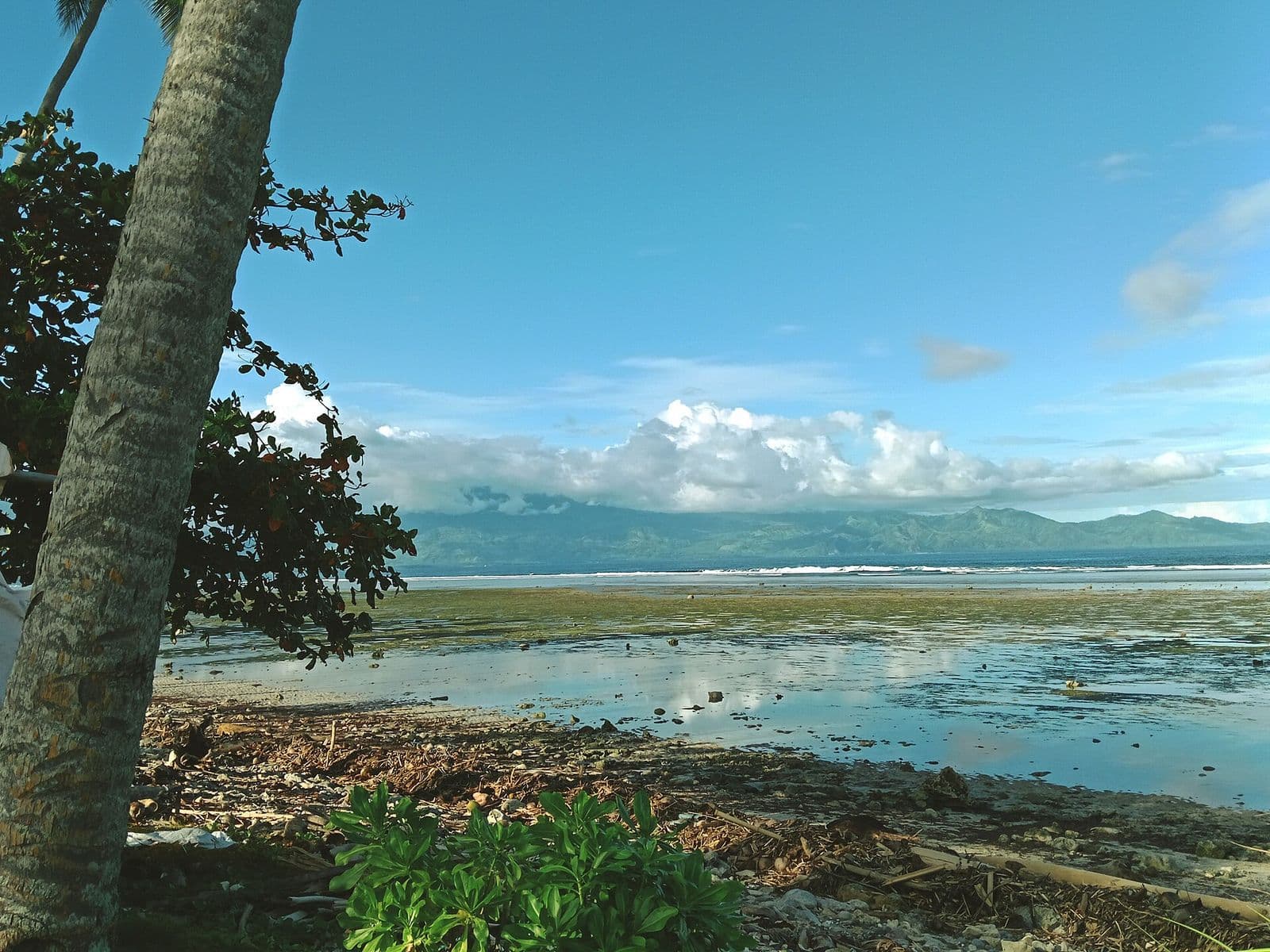 Shore at Bobon, Mati