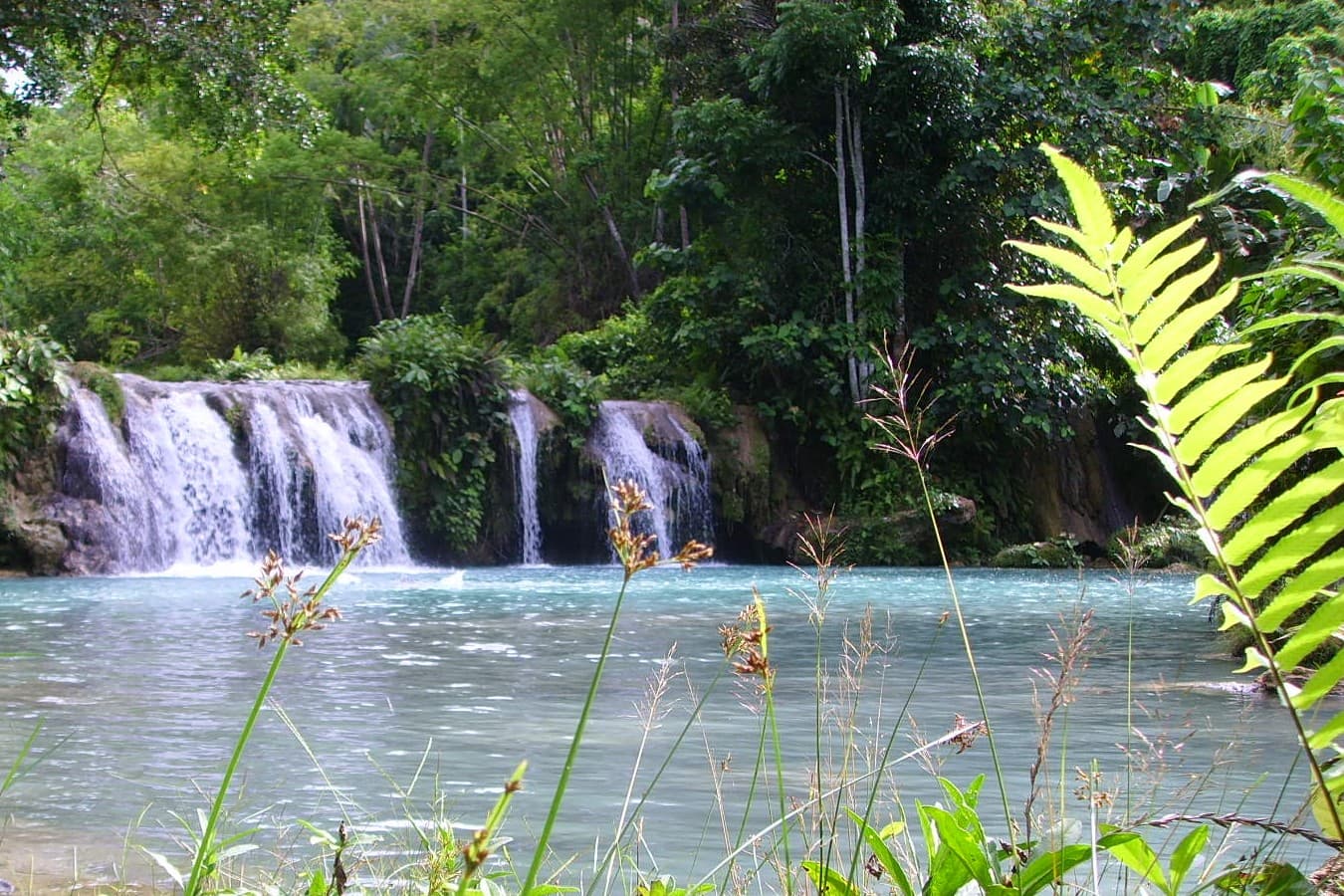 The cascades of Cambugahay Falls framed by ferns
