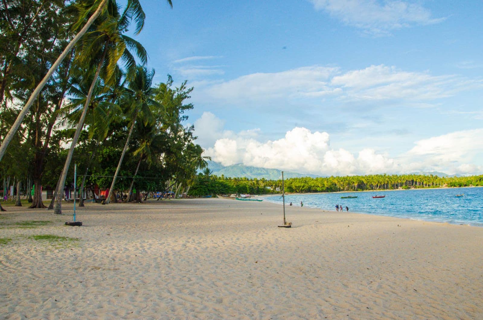 Palm trees along Dahican Beach, Mati