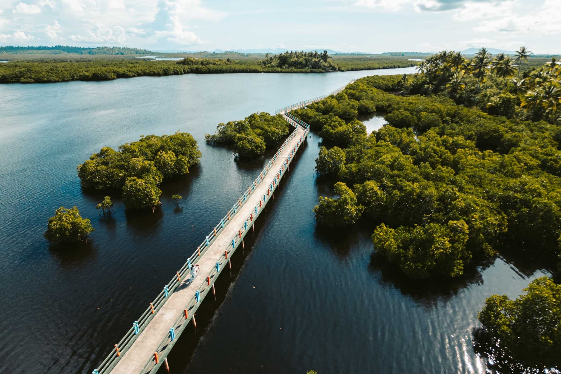 del carmen siargao mangrove boardwalk