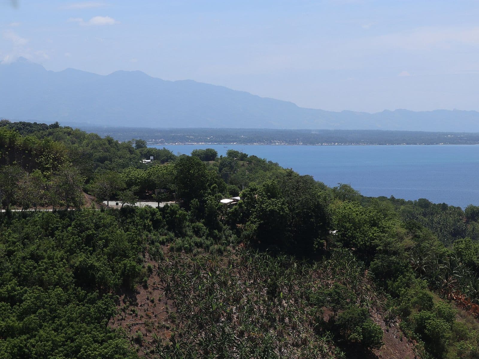 Pujada Bay and Mati seen from the highway above the city