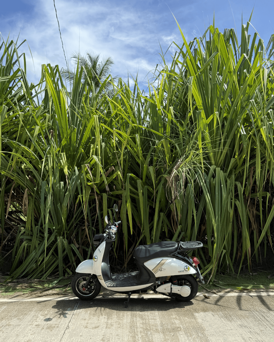 E-Bike