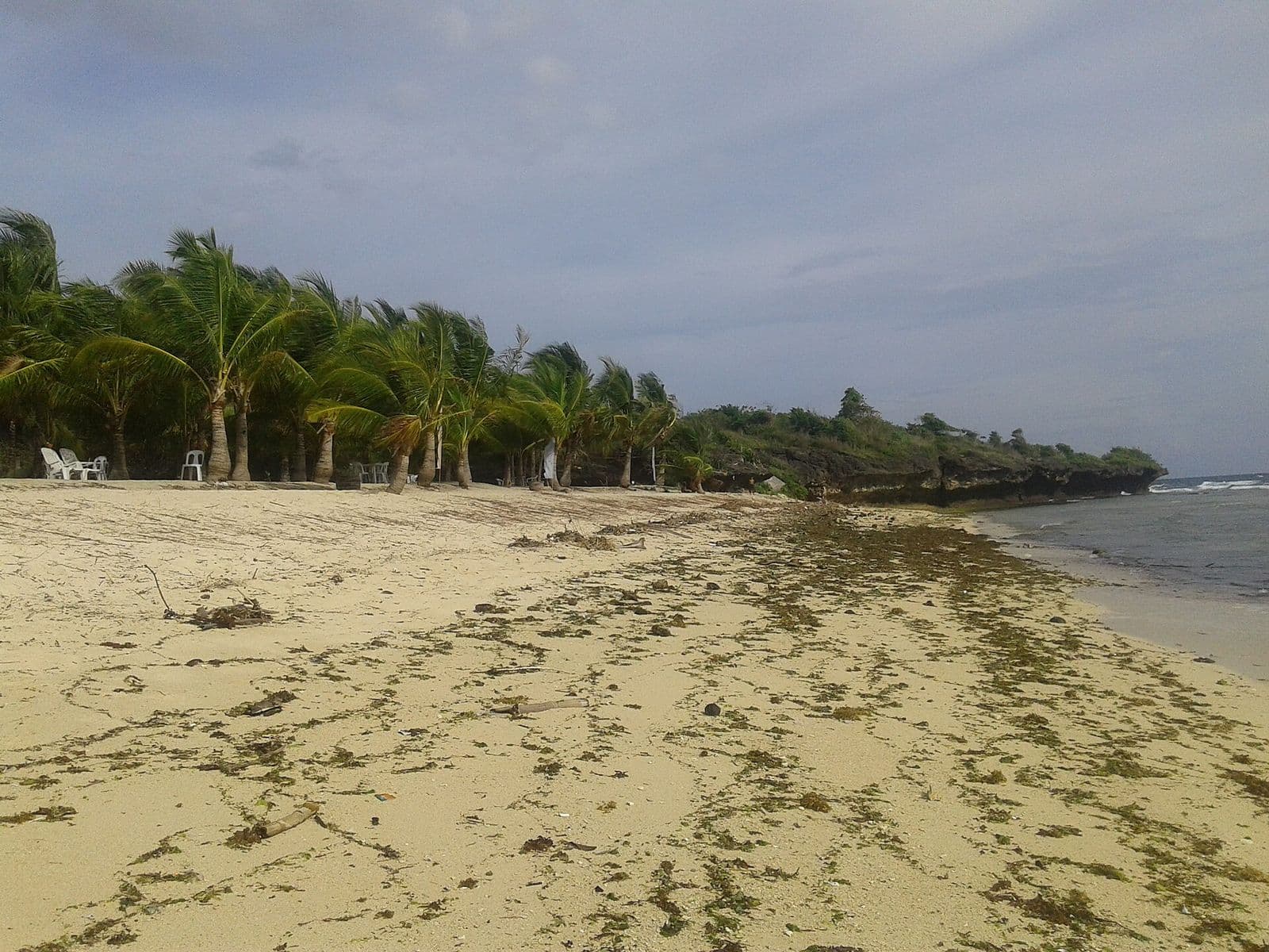 Palm-lined beach in San Juan, Siquijor