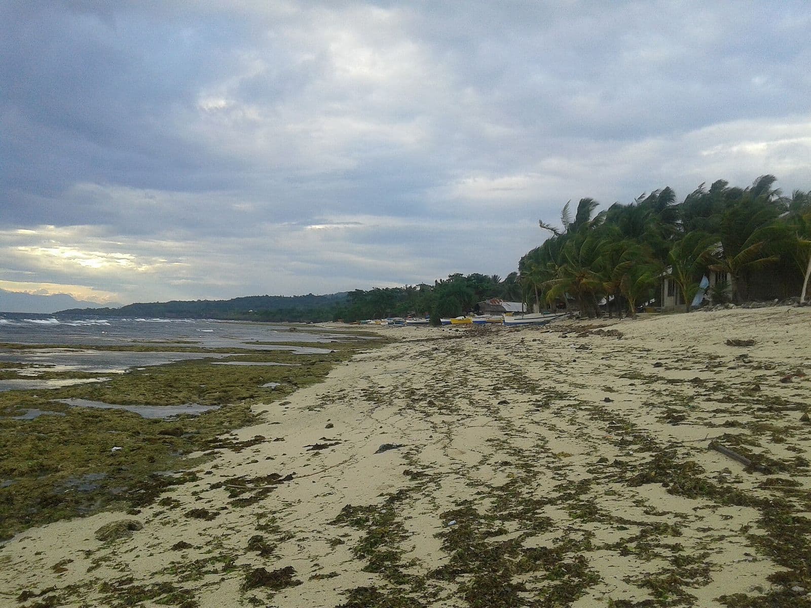 Low tide on the shore at San Juan, Siquijor