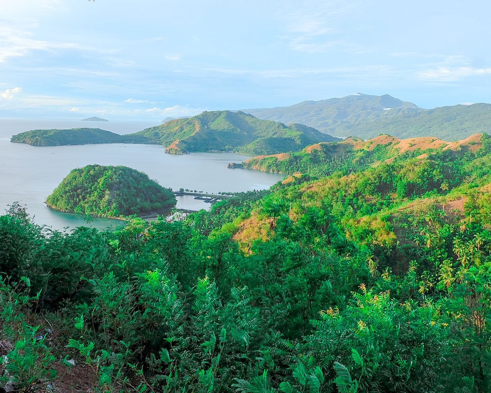 The Sleeping Dinosaur from Badas Point